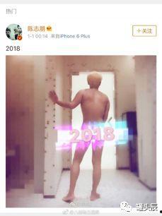 吃瓜猪娱乐视频,揭秘网络直播的趣味与争议