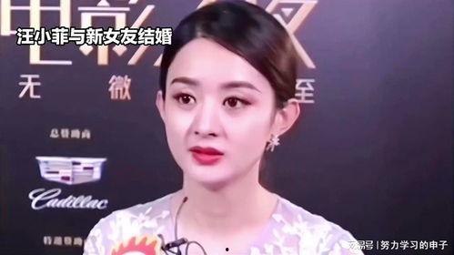 娱乐八卦吃瓜赵丽颖小说免费阅读,娱乐圈风云再起，揭秘明星背后的故事