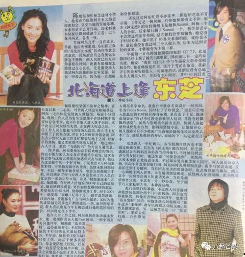 吃瓜娱乐圈小说图文推荐,吃瓜者的逆袭之路