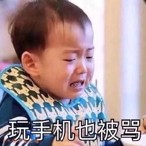 娱乐吃瓜酱和爸妈,揭秘网红现象背后的家庭故事