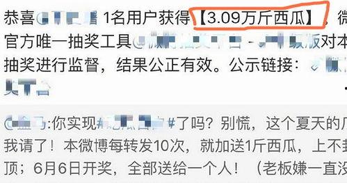 娱乐吃瓜酱如何背书,从“421文件”看幕后真相与八卦风云