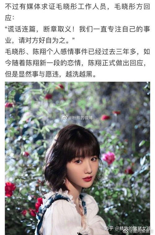 娱乐圈吃瓜大师有哪些,揭秘吃瓜大师的瓜田传奇