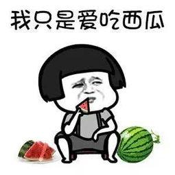 娱乐吃瓜小记,跟随“娱乐吃瓜小记”探寻幕后真相