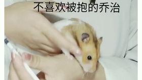 三线吃瓜娱乐圈,娱乐圈的边缘生活揭秘