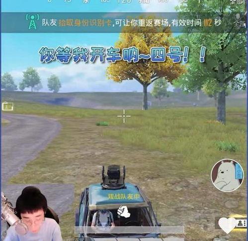 娱乐718.吃瓜王大炮,揭秘“电钻一姐”的争议人生”