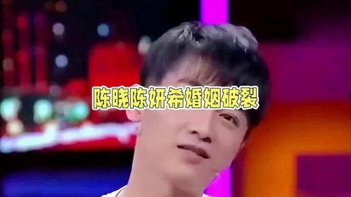 娱乐陈晓吃瓜,娱乐圈的“瓜”田风云