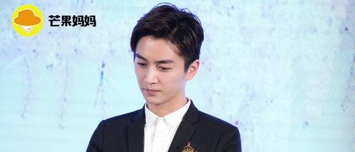 娱乐陈晓吃瓜,娱乐圈的“瓜”田风云