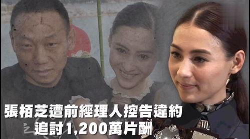 吃瓜娱乐连麦,明星互动背后的趣味与争议