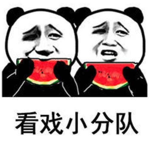 娱乐圈吃瓜吃不动