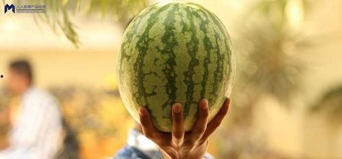 娱乐圈可以吃瓜,揭秘明星幕后故事，一起吃瓜！