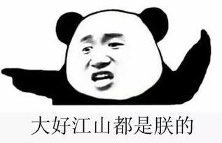 娱乐群吃瓜群众,吃瓜群众的热议焦点